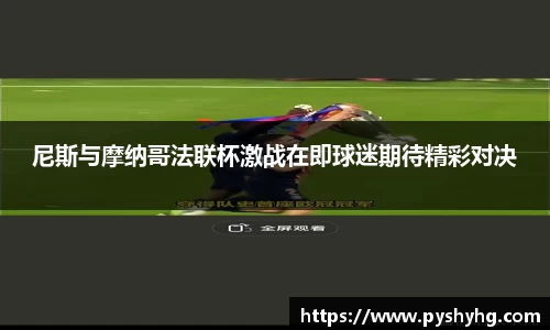 尼斯与摩纳哥法联杯激战在即球迷期待精彩对决