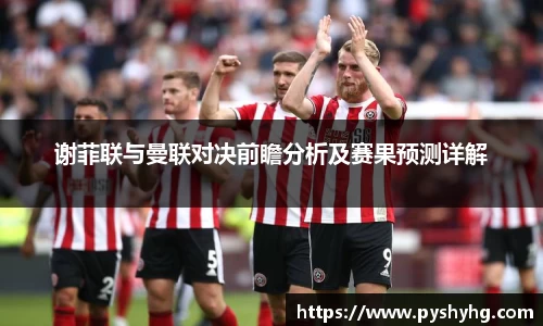 谢菲联与曼联对决前瞻分析及赛果预测详解