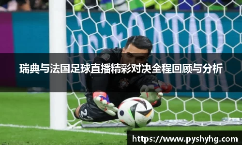 瑞典与法国足球直播精彩对决全程回顾与分析